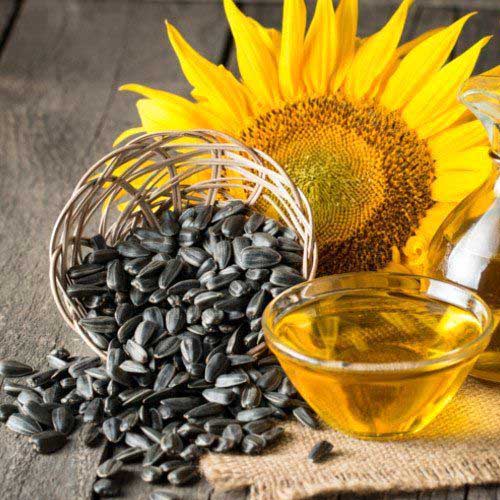روغن مایع حلبی طبیعت آفتابگردان 