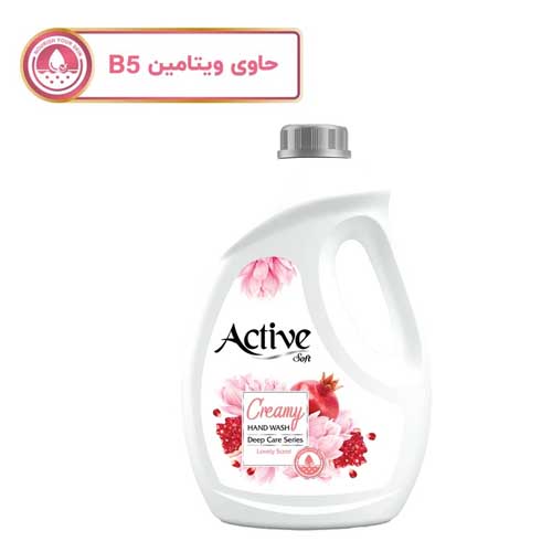 مایع دستشویی کرمی اکتیو انار و گل
