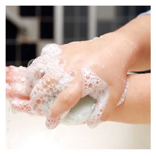 مایع دستشویی صدفی مای سبز