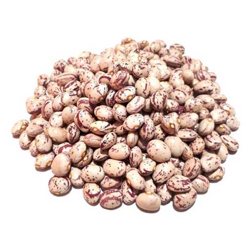 لوبیا چیتی فله ای های‌شاپ