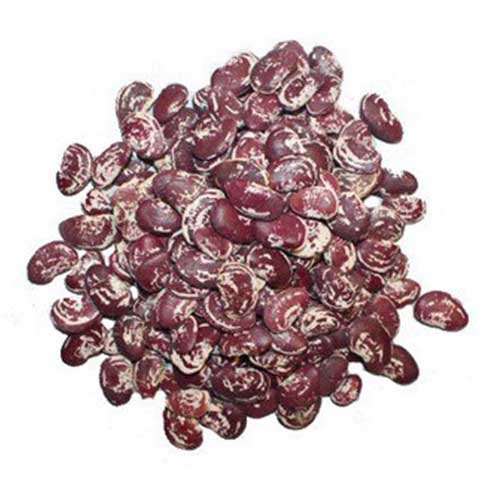 لوبیا عروس های‌شاپ