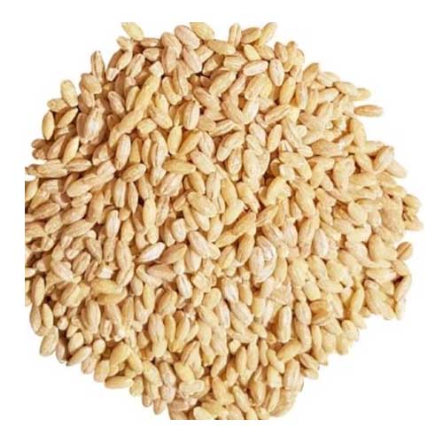 گندم حلیم های‌شاپ