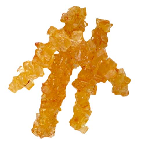 نبات شاخه لوکس های‌شاپ